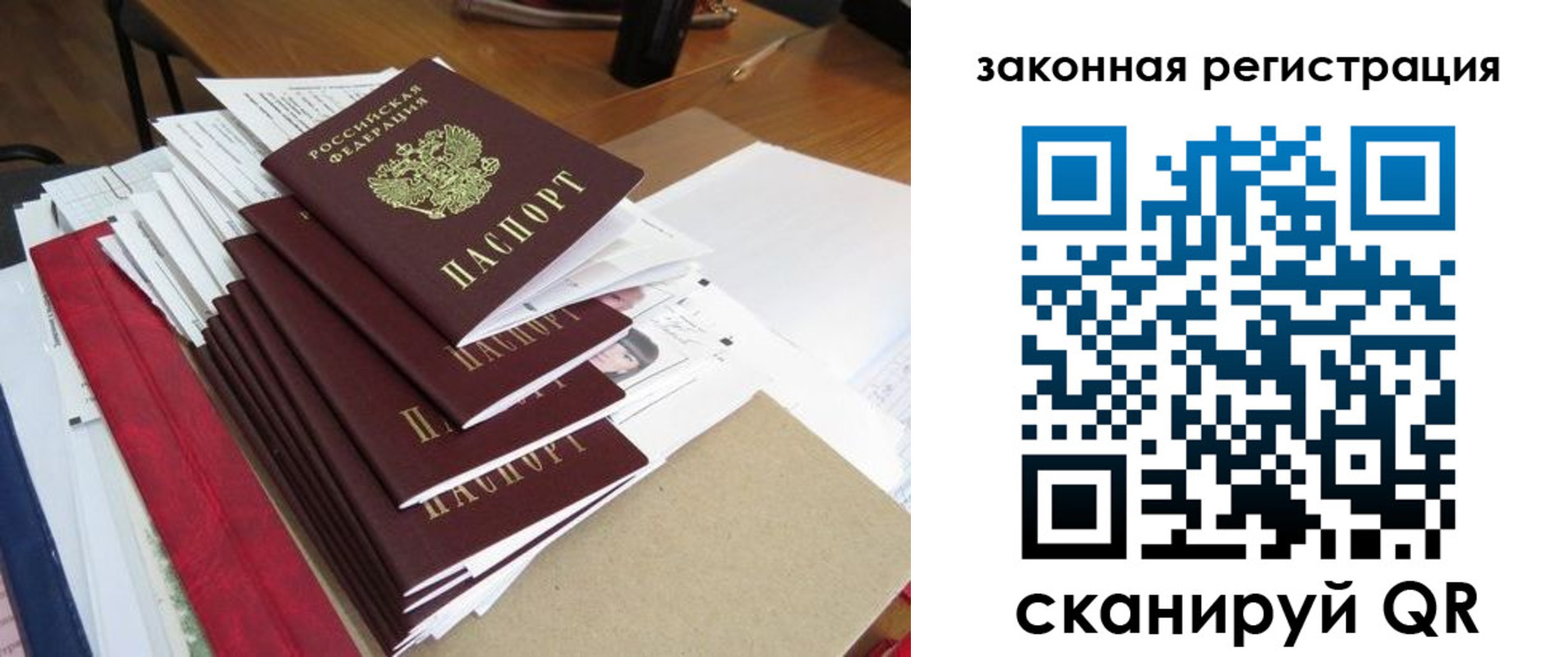 прописка для работы в Димитровграде